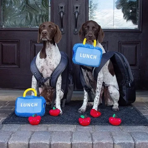 pointerpawprints Instagram post about Dog personality traits
