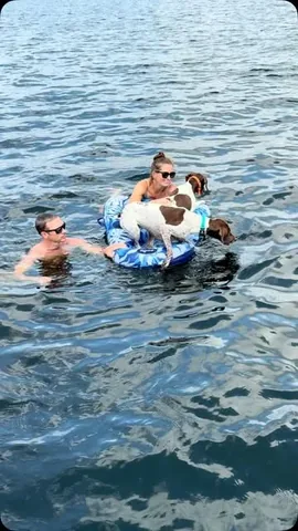 pointerpawprints Instagram post about Dogs playing with bubbles