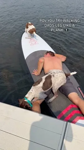 pointerpawprints Instagram post about Dog fixation on fish