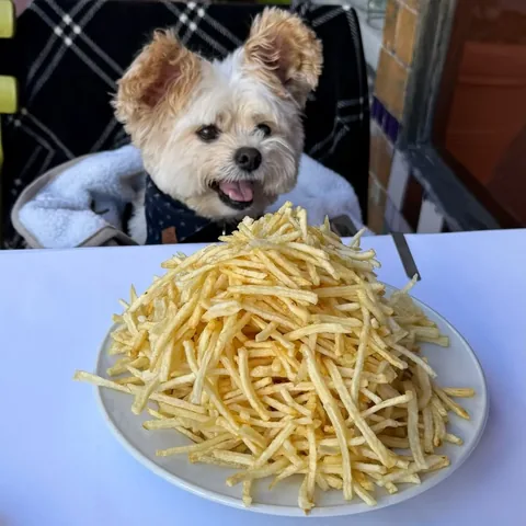 popeyethefoodie Instagram post about Dining