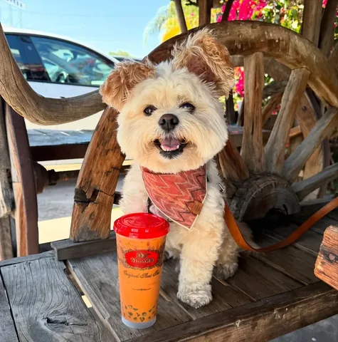 popeyethefoodie Instagram post about Beverages