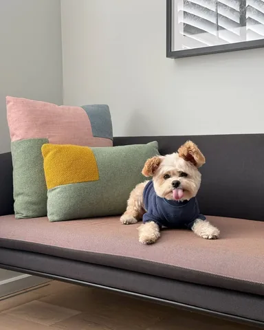 popeyethefoodie Instagram post about Pet friendly travel