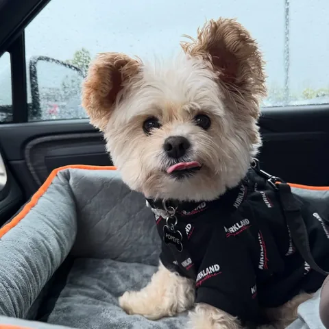 popeyethefoodie Instagram post about Everyday life