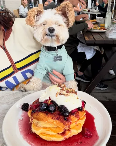 popeyethefoodie Instagram post about Dining