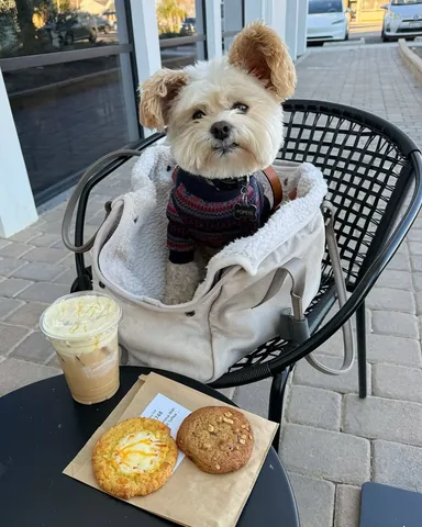 popeyethefoodie Instagram post about Coffee and pastries