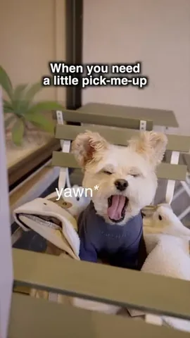 popeyethefoodie Instagram post about Espresso machine