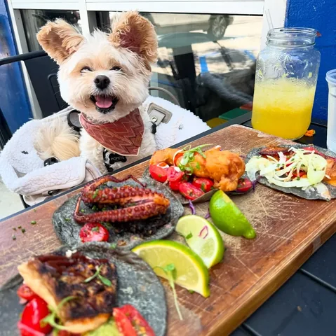 popeyethefoodie Instagram post about Dining