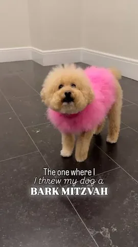 puppynamedcharlie Instagram post about Bark mitzvah celebration