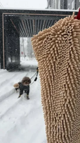 puppynamedcharlie Instagram post about Dog cleanup