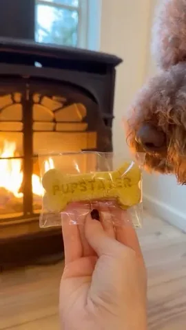 puppynamedcharlie Instagram post about Dog friendly lodge event