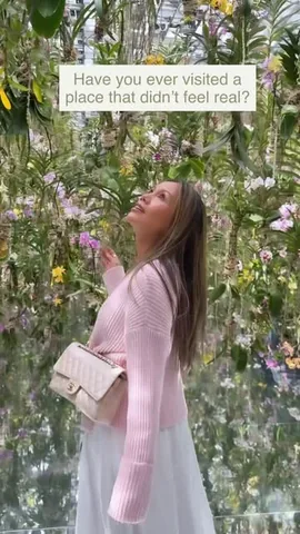 rachelvogttrends Instagram post about Tokyo attraction