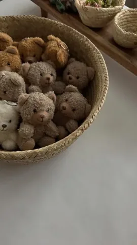 raisingfivekind Instagram post about Party products