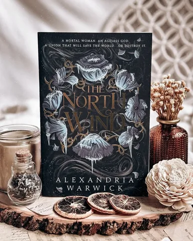 readingmypages Instagram post about Romantasy book feature