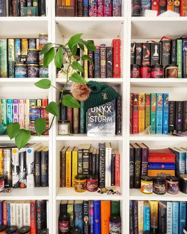 readthewriteact Instagram post about Books and charitable merchandise