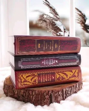 readthewriteact Instagram post about Classic literature book stack