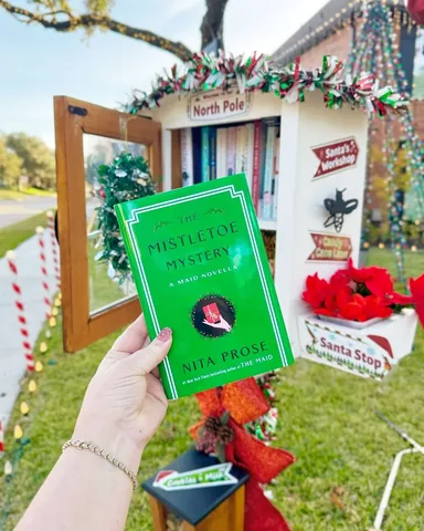 readwithjamie Instagram post about Holiday book recommendation