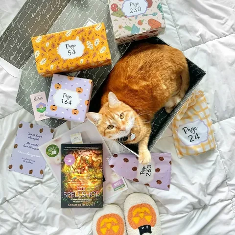 readwithjamie Instagram post about Fantasy book box promotion