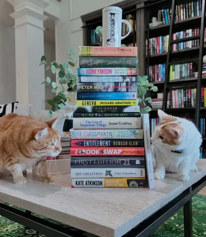 readwithjamie Instagram post about Travel book haul