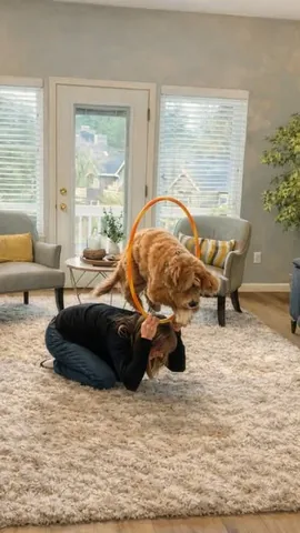 reagandoodle Instagram post about Senior dog birthday