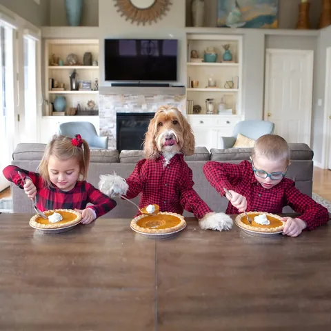 reagandoodle Instagram post about Thanksgiving