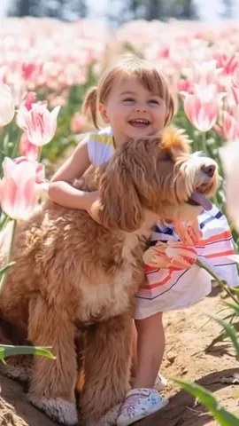 reagandoodle Instagram post about Pet remembrance