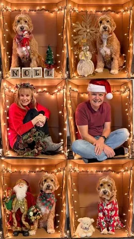 reagandoodle Instagram post about Dog photography