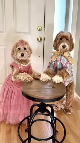 reagandoodle Instagram post about New Year’s celebration