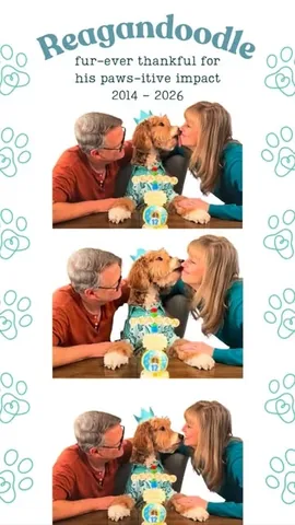 reagandoodle Instagram post about Pet memorial poem