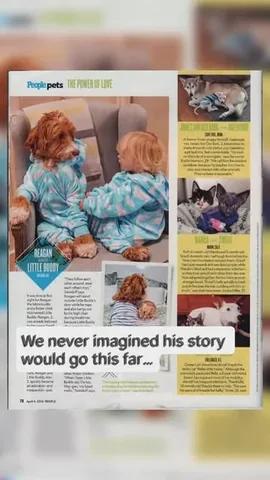 Sandi Swiridoff Instagram post thumbnail