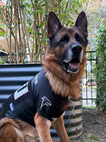redhundriot Instagram post about Atlanta Falcons football