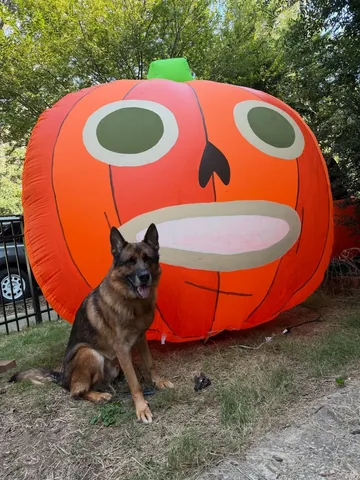 redhundriot Instagram post about Halloween