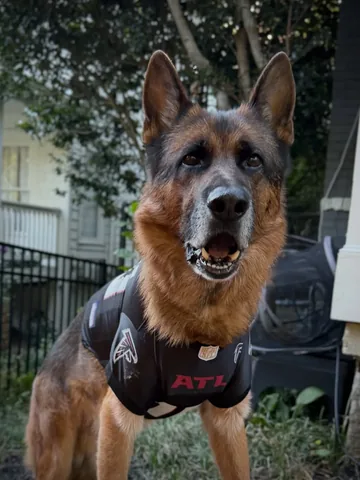 redhundriot Instagram post about Football