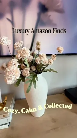 renae.olivia Instagram post about Home décor finds