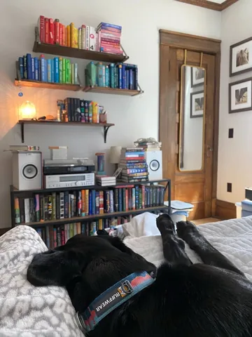 reviewsshewrote Instagram post about Pet remembrance