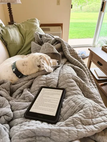 reviewsshewrote Instagram post about Cozy reading setup