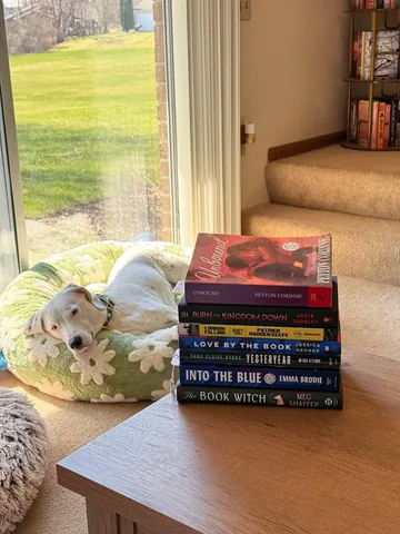 reviewsshewrote Instagram post about New book recommendations