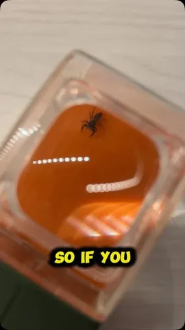 richontech Instagram post about Bug catching tool