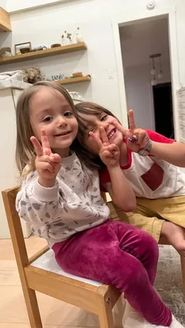rosaliazadeh Instagram post about Iranian political activism