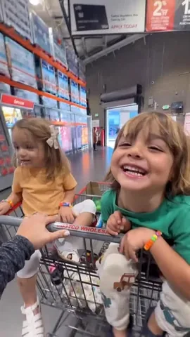 rosaliazadeh Instagram post about Costco shopping trip