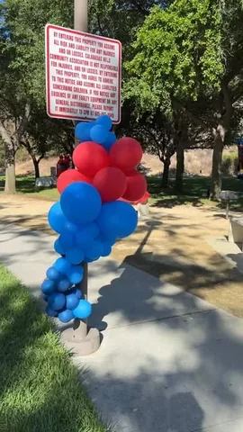 rosaliazadeh Instagram post about Children’s birthday