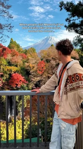 saltinourhair Instagram post about Shiraito Falls and Mount Fuji
