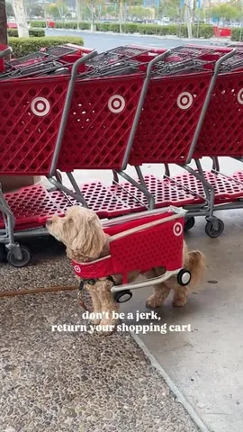 sampson_the_dood Instagram post about Target themed dog costume