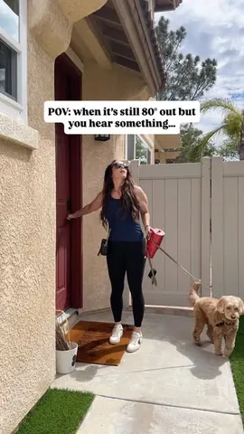 sampson_the_dood Instagram post about Dog reacting to Christmas music