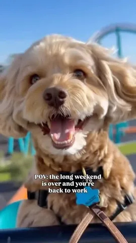 sampson_the_dood Instagram post about Back to work humor