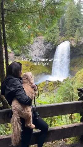 sampson_the_dood Instagram post about Dog friendly travel