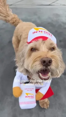sampson_the_dood Instagram post about Dog costume comedy
