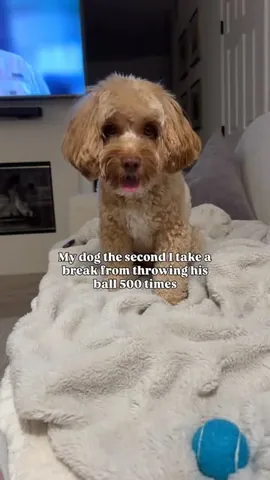Sampson & Michele Miller Instagram post thumbnail
