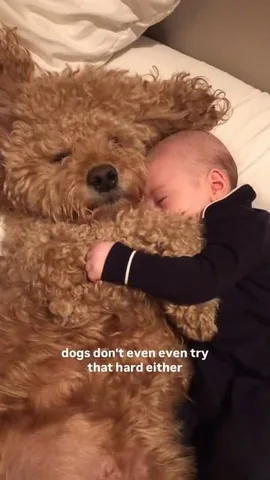 samsonthedood Instagram post about Cozy pet apparel