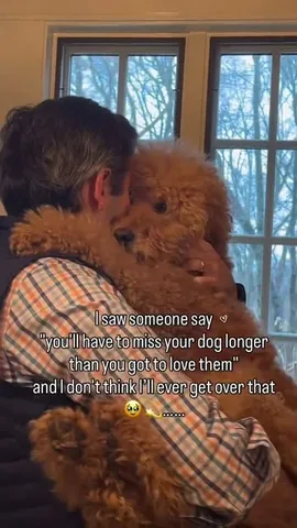 samsonthedood Instagram post about Dog companionship and grief
