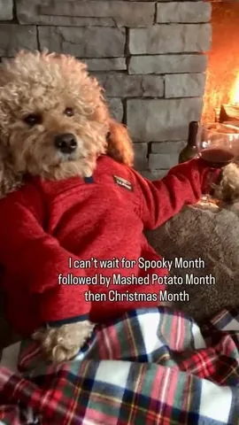 samsonthedood Instagram post about Seasonal celebration